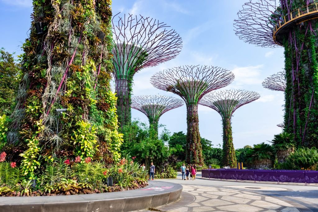 Futuristic trees in lush garden setting, Singapore, best places to visit Singapore Travel the great