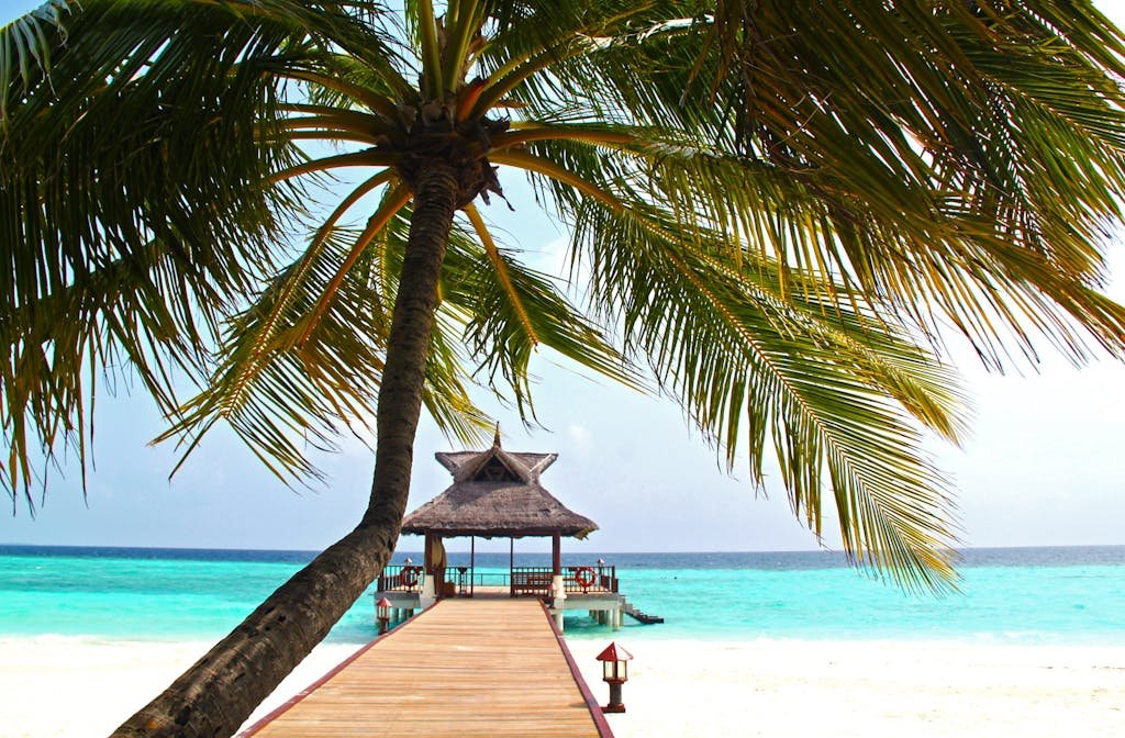 Tropical pier with palm trees. travel the great
