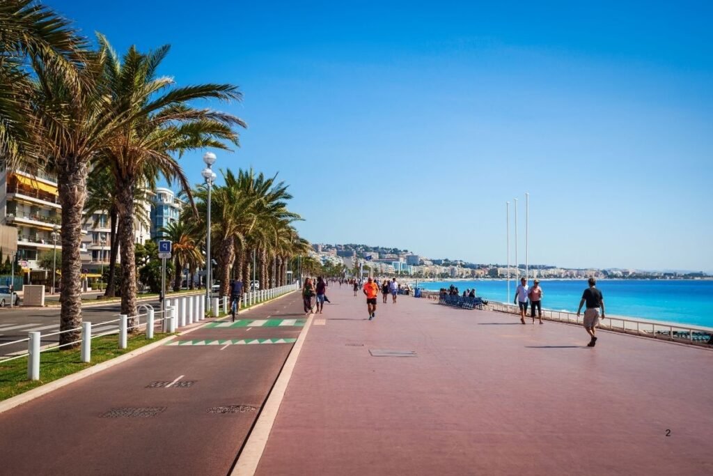 Sunny promenade lined with palm trees. France