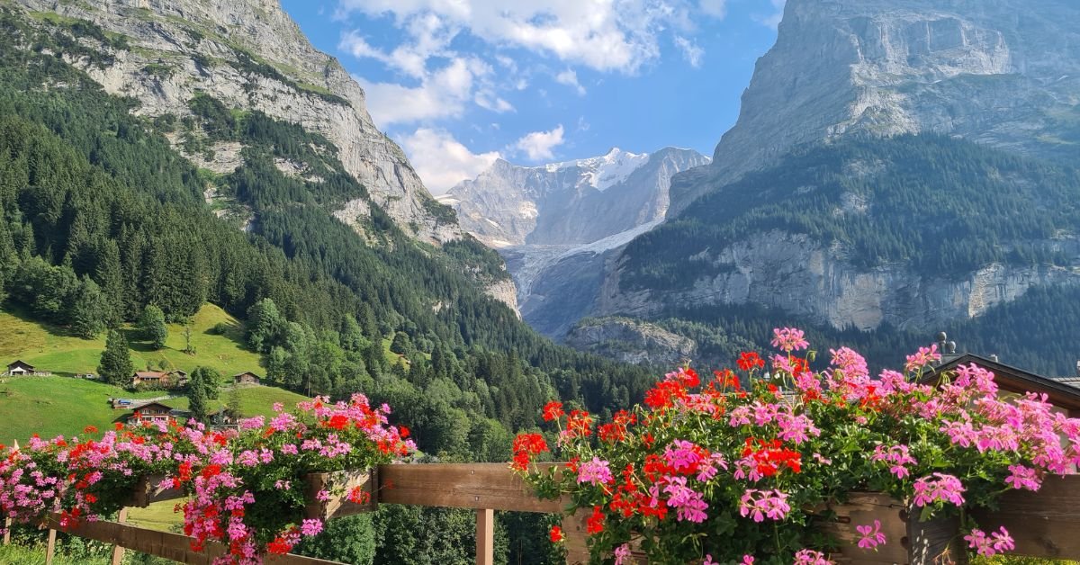 Switzerland, beautiful flowers with mountain view